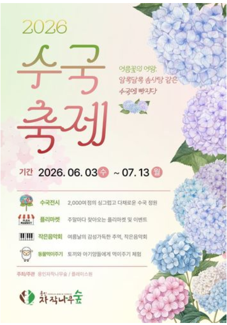 용인자작나무숲